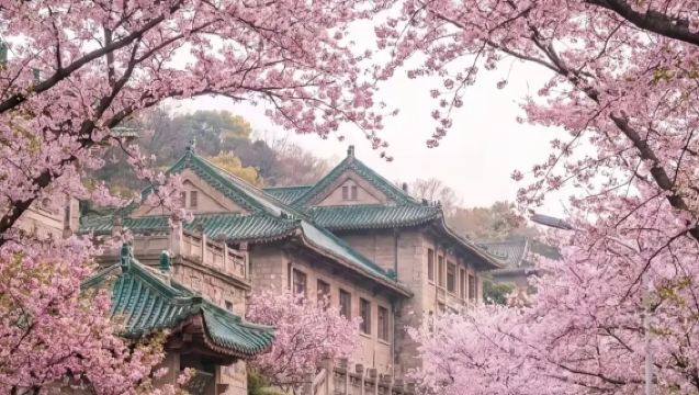 武漢大學代約入園｜自由行