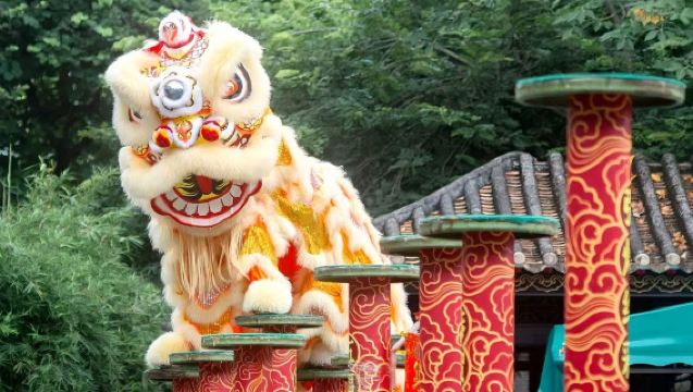 Passeio de um dia pela cultura de Kung Fu e Dança do Leão em Foshan