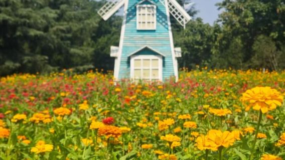 秦嶺國家植物園半日遊【這個五一.一起去看花開萬物】親子度假