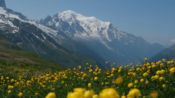 Lawatan Sehari ke Mont Blanc + Aiguille du Midi + Laut Ais di Chamonix, Switzerland [Kereta Peribadi Bahasa Cina - Pengangkutan Hotel]