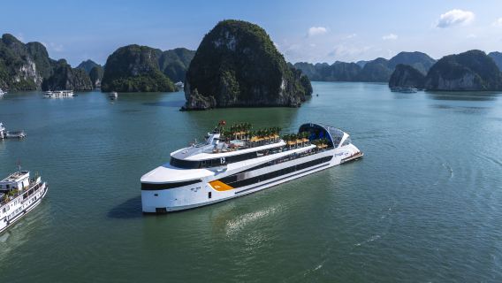 Premium Dolphin Halong Cruise: Ha Long Bay 1-Day Tour with Lunch, Live Music& Sunset Party