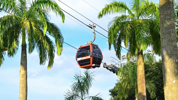 Singapore cable car round-trip ticket (dual-line access + hop-on hop-off + 360° views + aerial sightseeing + rainforest trekking)