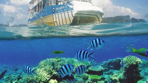 Okinawa Motobu genki village whale semi-submersible coral reef cruise | 40 min scenic viewing without getting wet