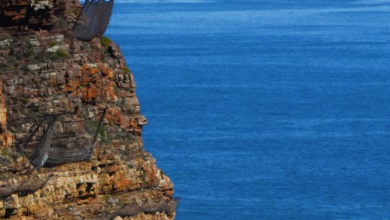 Cape Town - Teluk Hout - Tanjung Harapan - Semenanjung lawatan sehari klasik - sewaan peribadi pergi-balik