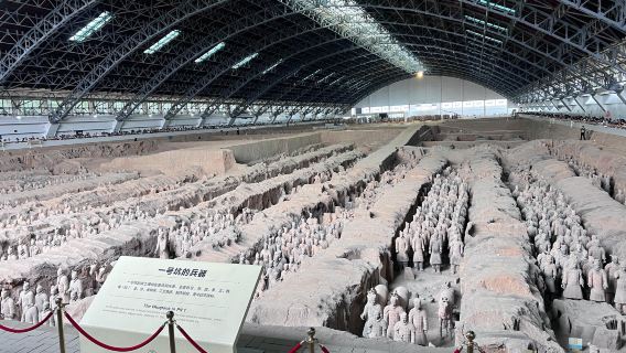 Xi'an: Qin Shi Huang Terracotta Warriors Half-Day Tour