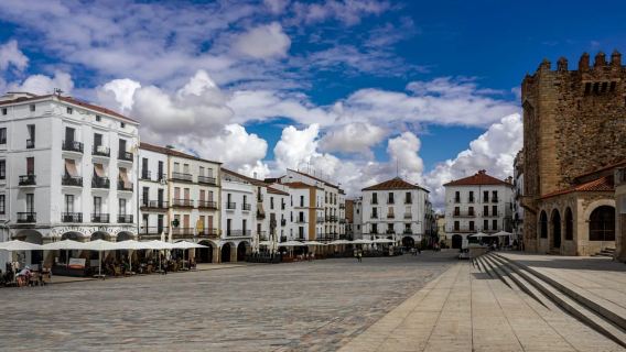 Cáceres Monumental Tour: your first introduction to Cáceres
