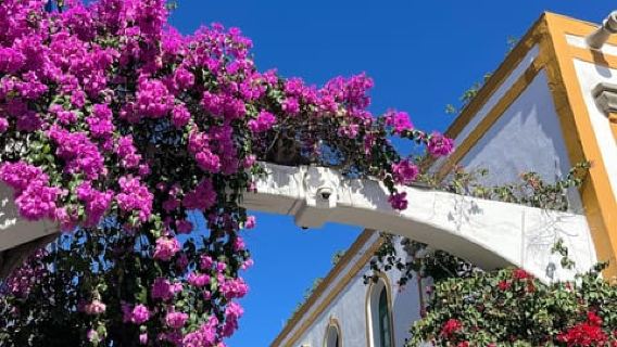 Highlights des Südens von Gran Canaria