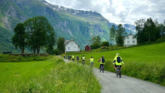 Olden: Scenic E-Bike Tour with Lakeside Picnic & Fjord Views
