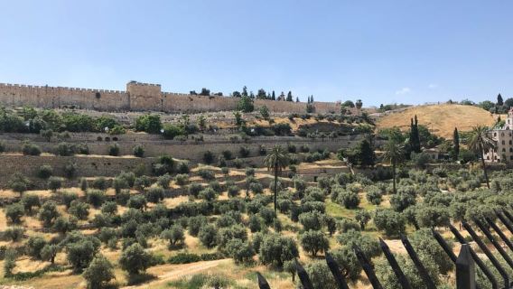 Mount Tabor, Beit She'an and Yardenit Baptismal Site Tour