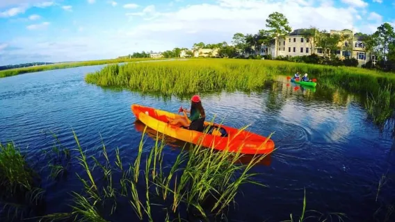 Hilton Head Island: 1.5-Hour Guided Small-Group Kayak Tour