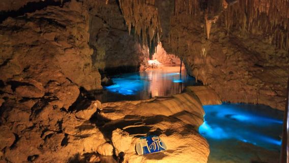 Okinawa South Bus: Shurijo, Okinawa world & more