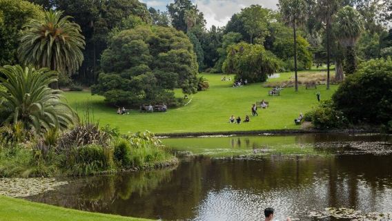Melbourne riverside, alleys and coffee culture experience