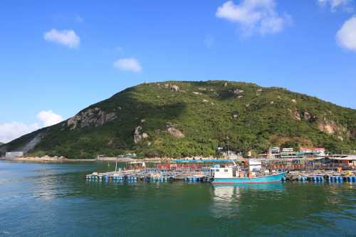 南丫島得獎龍蝦鮑魚晚宴 ｜南丫島滋味海鮮半天遊套票（海鮮午餐連來回船票）