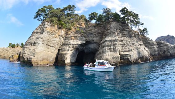 Japonya'da Izu'da Özel Araçla Günübirlik Tur: İngilizce ve Çince Bilen Şoför / Otel Transferi / Özelleştirilebilir Program