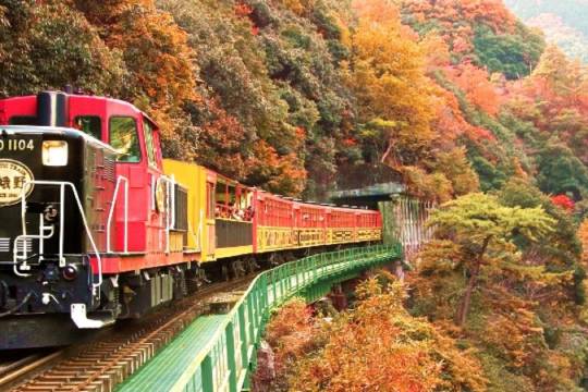 Kyoto Sanzen-in + Arashiyama one-day tour
