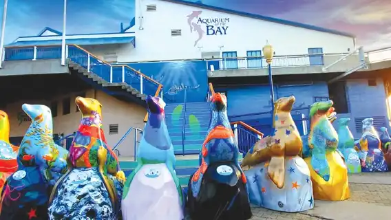 Aquarium of the Bay General Admission Ticket