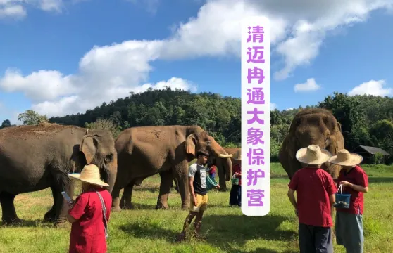 Ran-Tong大象保護中心門票 + 清邁古城接送成人