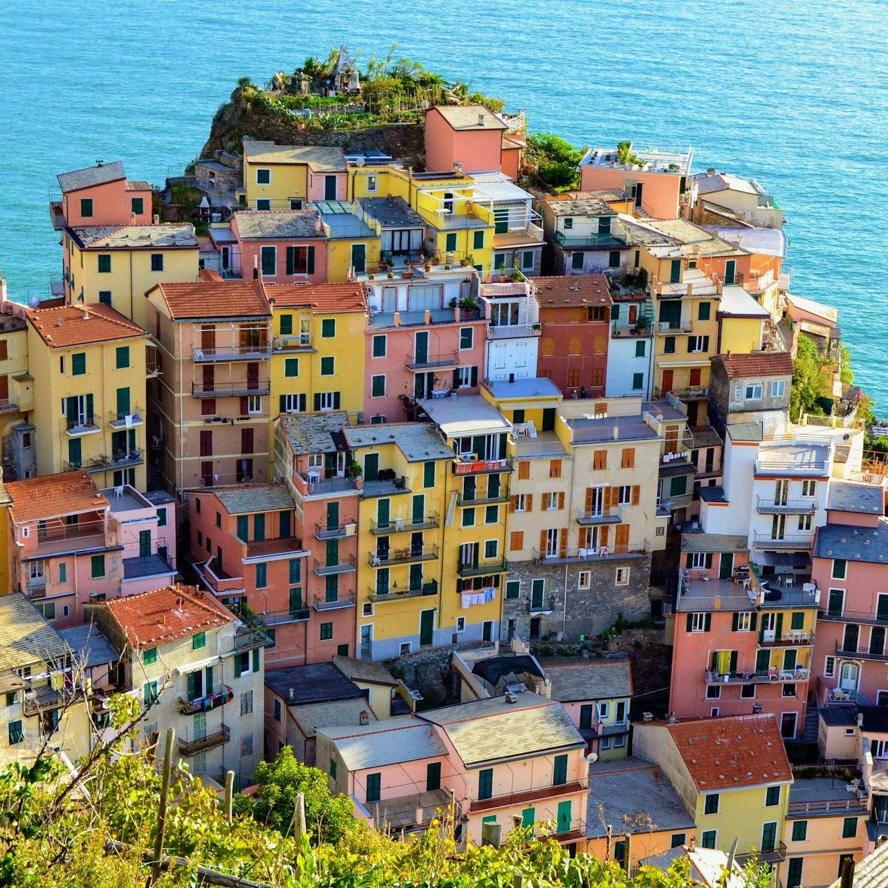 Pisa e Cinque Terre: gita di un giorno da Firenze