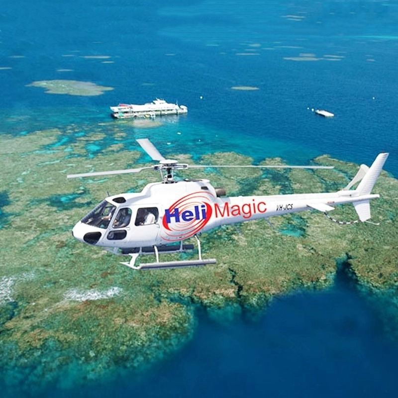 Ordine urgente#Tour di un giorno sul reef con la nave da crociera Cairns Dream Reef alla Grande barriera corallina, immersione profonda di 5 ore con opzione elicottero