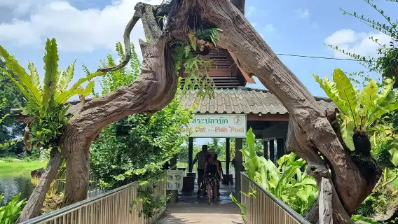 泰國芭達雅雲石公園鱷魚潭
