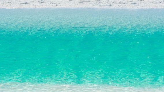 崑崙山口+無極龍鳳宮+玉珠峰冰河+可可西里一日遊【包車團】