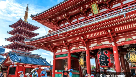 Tokyo City Pass 3-day Pass + teamLab Planets TOKYO DMM Digital Art Exhibition