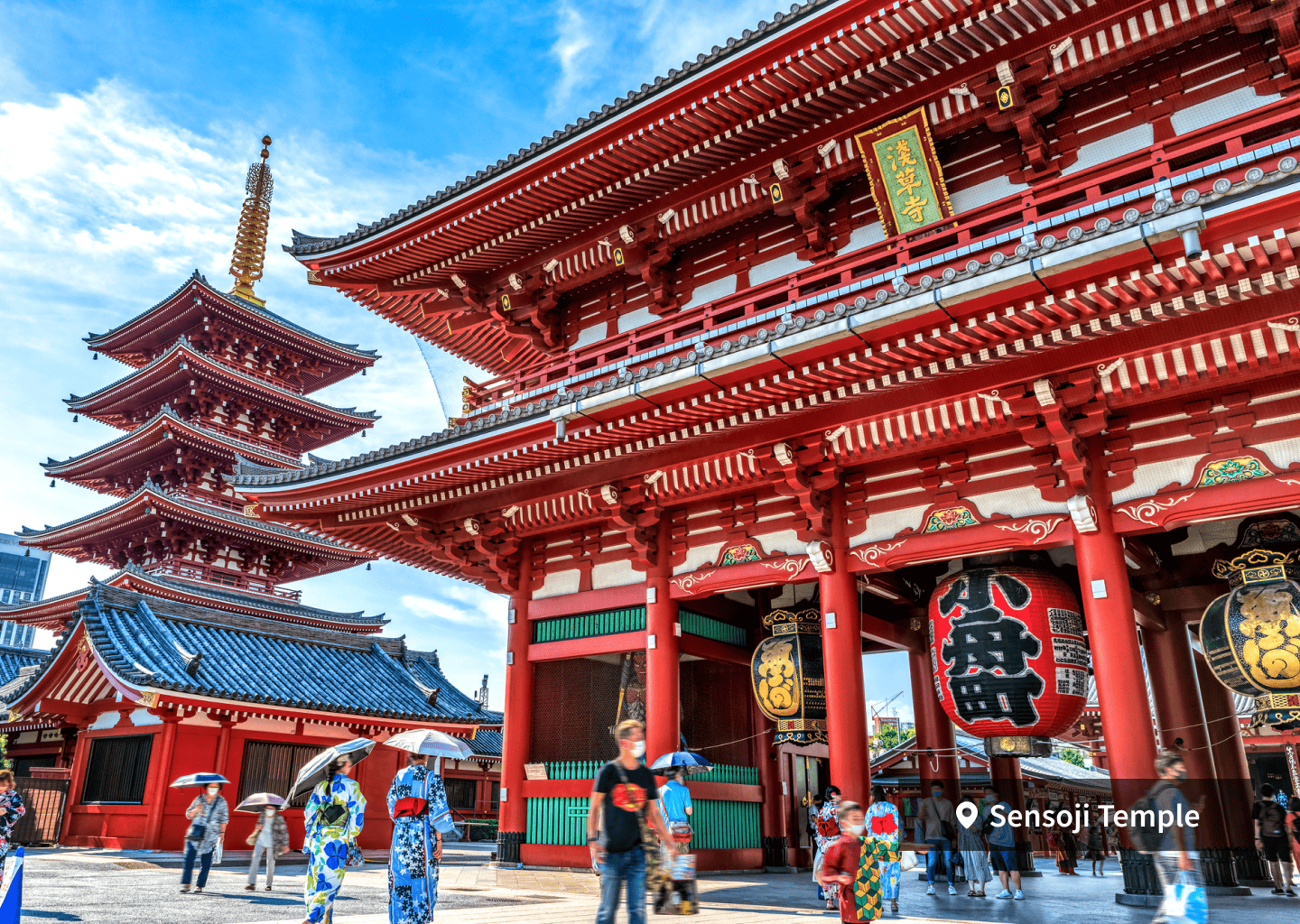 도쿄 시티 패스 3일권+팀랩 플래닛츠 TOKYO DMM 디지털 아트 전시