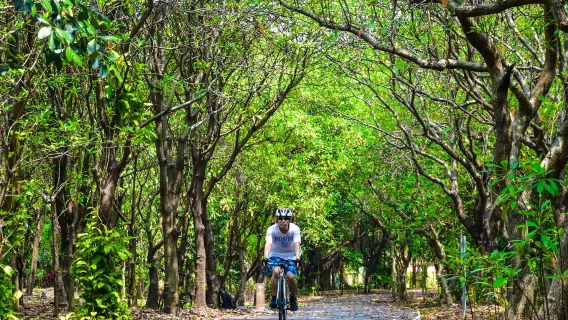 Featured tour starting at 917 THB: Bangkok’s Green Lung Bang Kachao Bicycle Nature Tour