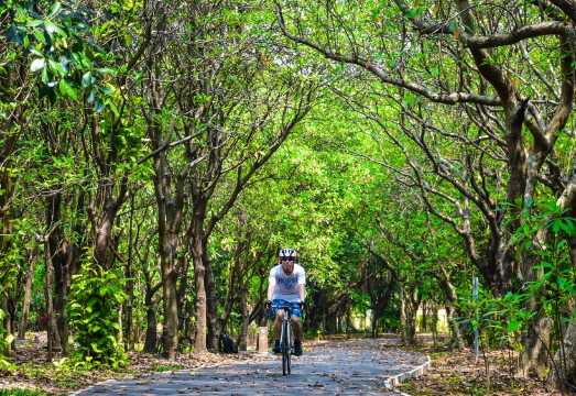 Bangkok's Green Lung Bang Kachao Bicycle Nature Tour