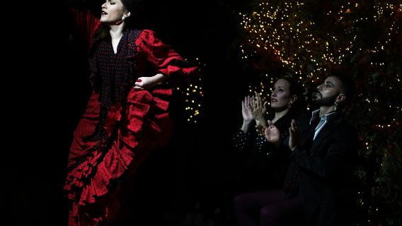 Madrid: Flamenco Show at Tablao Torres Bermejas