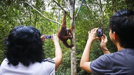 KuchingTours