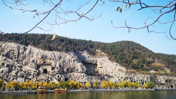 Longmen Grottoes Admission Tickets with Guide Service: Enjoy Hassle-Free Online Booking