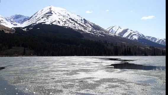 美國安克拉治-西沃德Seward-遊船賞鯨-黑沙灘瀑布