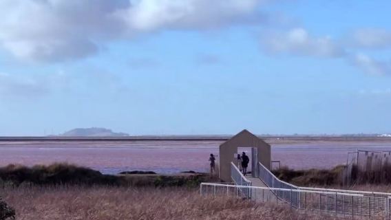 電腦歷史博物館+英特爾博物館+Alviso Marina