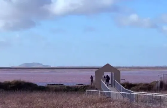 計算機歷史博物館+英特爾博物館+Alviso Marina