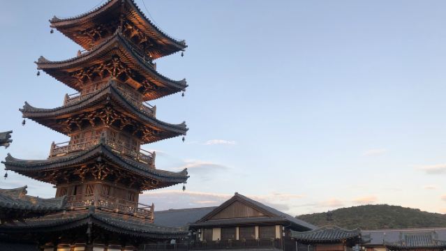 梅園+櫻花谷+拈花塔+禅意小镇·拈花灣+黿頭渚【景點可調】