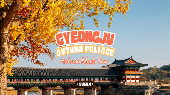 GyeongjuTours