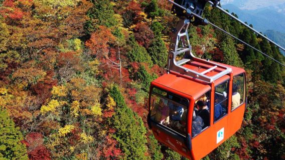 Nagashima Outlets & Mt. Gozaisho one-day tour(Depart from Nagoya)