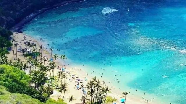 Hawaii Honolulu - Hanauma Bay + Pantai Lanikai + Taman Botani sewaan peribadi lawatan sehari / jadual boleh disesuaikan