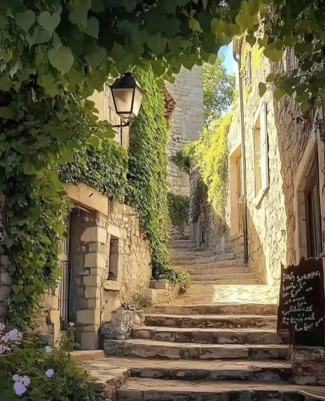 聖特羅佩港+聖保羅德旺斯+昂蒂布海角+格拉斯小鎮【南法包車】