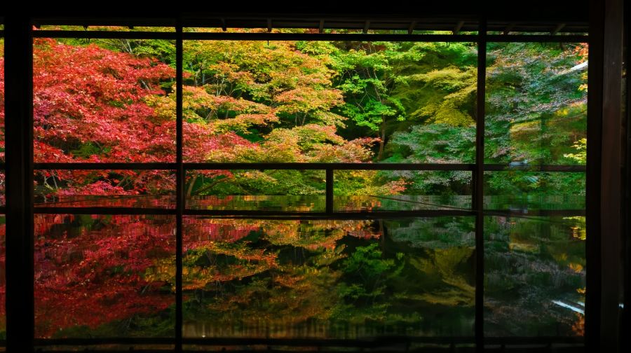大阪+京都小團一日遊丨紅葉秘境巡禮琉璃光院·三千院·貴船神社