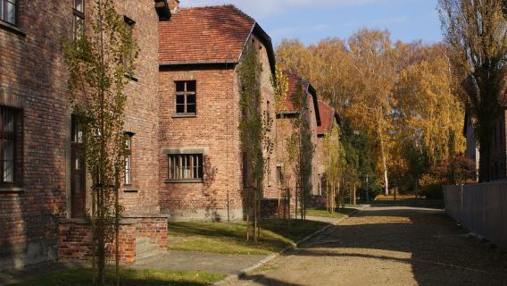 From Warsaw: Auschwitz-Birkenau Small Group Tour with Lunch