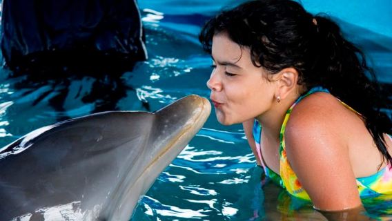 Puerto Plata: Dolphin Encounter at Ocean World