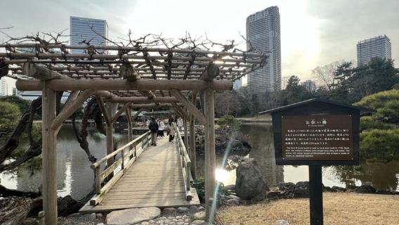 Tokio: Rundgang durch den Japanischen Garten mit Tee und Süßigkeiten