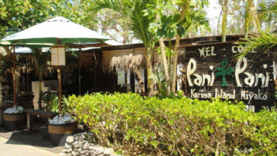 From Miyakojima: 1Irabu and Kurima Islands Guided Photo Tour