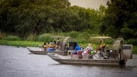 Nueva Orleans: Aventura en hidrodeslizador por el pantano con transporte