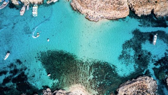 Sliema/St. Paul's: Gozo, Comino & Blue Lagoon Ferry Cruise
