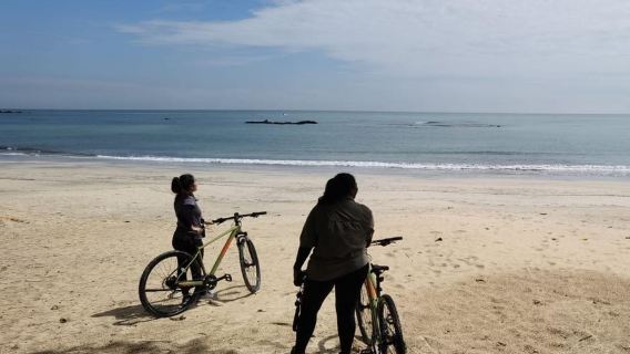 Johor: Ciclismo sulla costa di Desaru