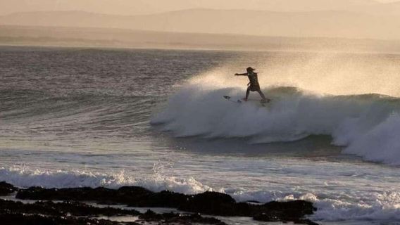 Plettenberg Bay: 2-Hour Surf Lesson