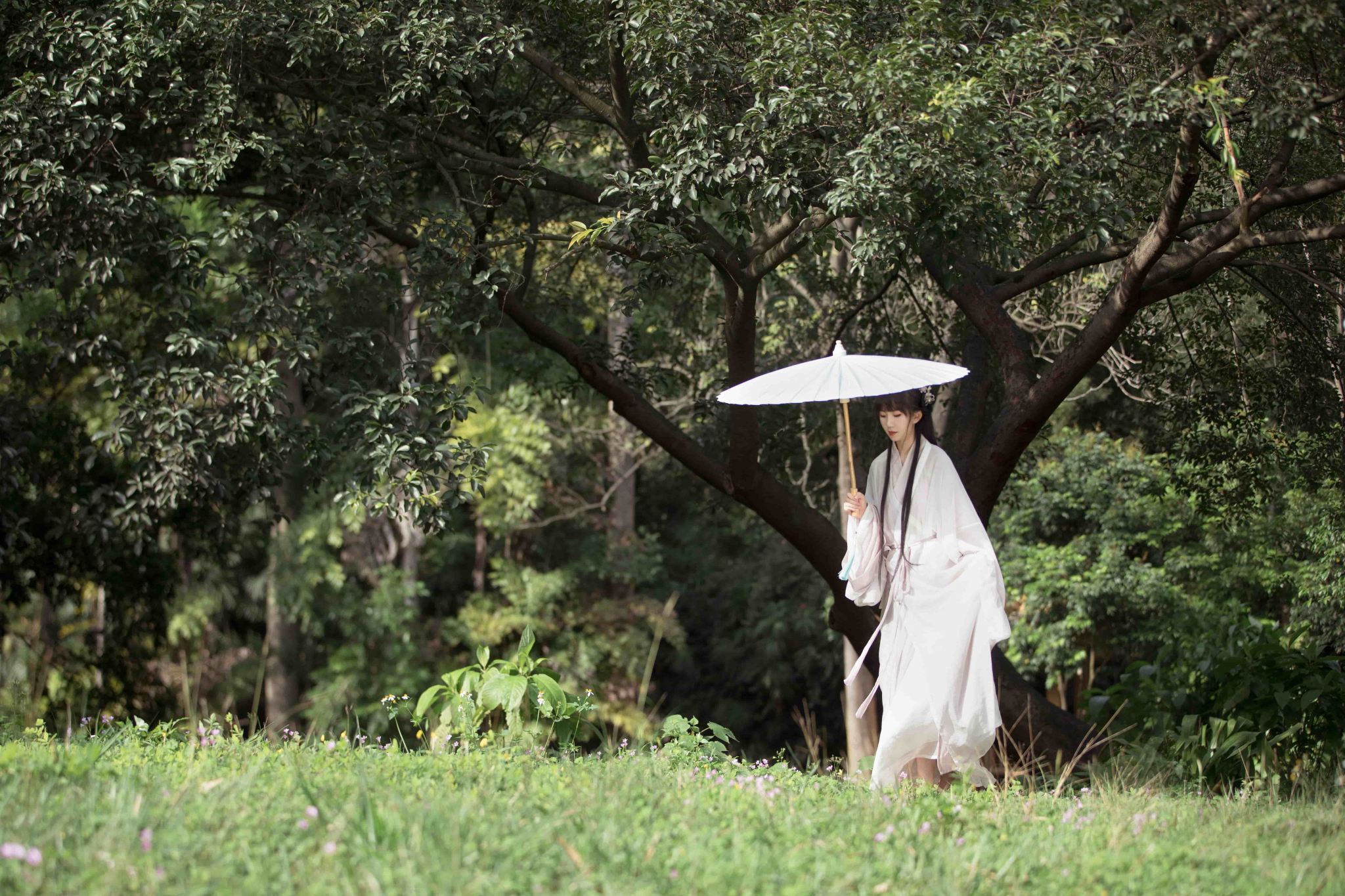 Momenti di viaggio a Suva, Fiji[Autista, guida e fotografo per Trip Moments + servizio di riprese aeree per foto matrimoniali e cortometraggi + trucco e abbigliamento + personalizzazione itinerario]